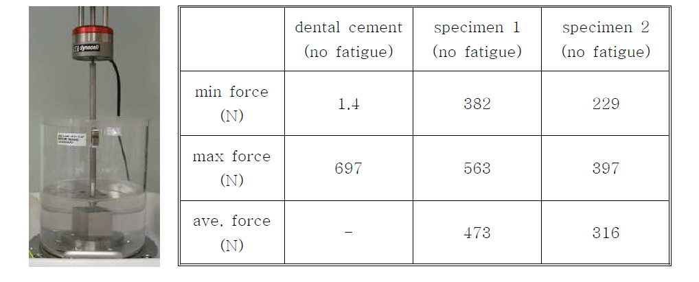 cement와 개발품과의 retention force 비교