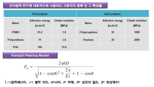 현재 건식접착 연구에 대표적으로 사용되는 고분자의 종류와 특징 및 보 접착 모델