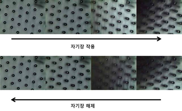 자기 엑츄에이션을 통한 미세 구조물의 움직임 및 접/탈착 제어