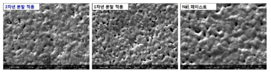 Ag-20Pd 소결전극의 미세조직 SEM 이미지