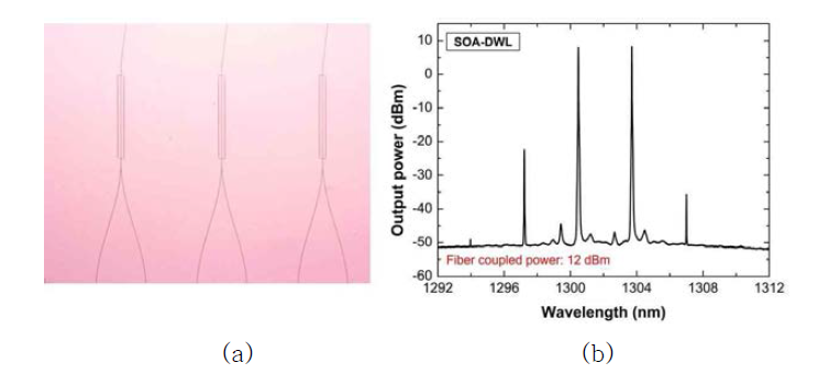 제작된 영상용 비팅 광원 (a) Y-combiner와 SOA 영역, (b) 초기 발진 스펙트럼