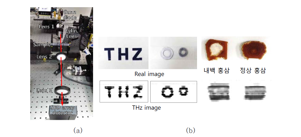 쇼트키 다이오드 어레이 검출기를 이용한 THz 투과영상