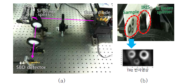 단일 채널 쇼트키 다이오드 검출기를 이용한 THz 반사영상
