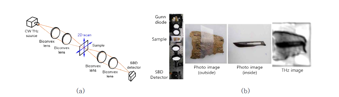 THz 연속파 소스와 SBD 검출기를 이용한 THz 투과 이미징