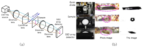 THz 연속파 소스와 SBD 어레이 검출기를 이용한 THz 투과 이미징