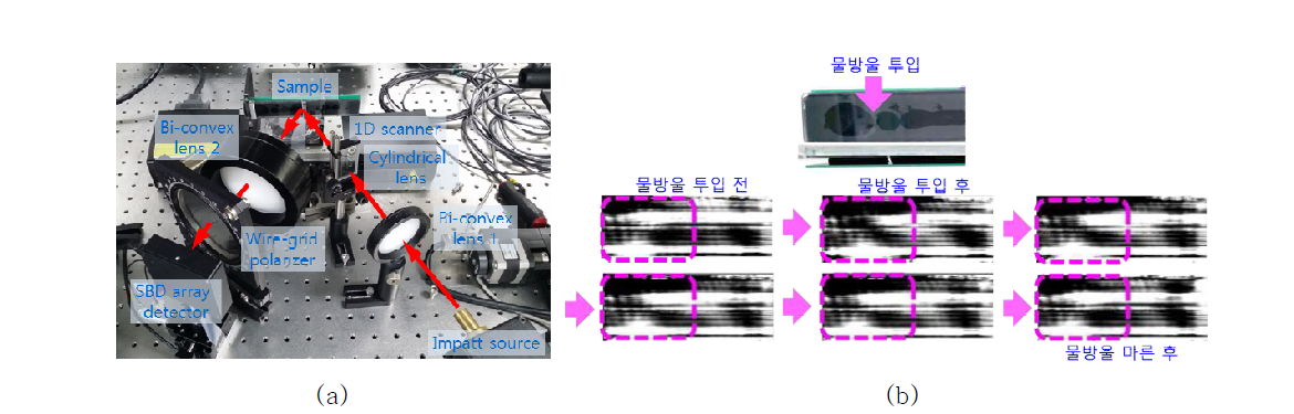 THz 연속파 소스와 SBD 어레이 검출기를 이용하여 자동차 윈도우 시료에 대해 측정한 THz 반사 이미징