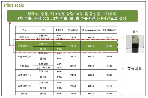 Scale up 추출 실험 결과