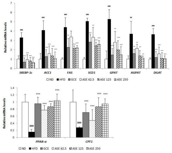Effects of GM on the expression of genes related to lipid metabolism as analyzed by RT-qPCR. Expression levels of lipogenesis-related genes, including SREBP-1c, ACC1, FAS, SCD1, GPAT, AGPAT, and DGAT, and fatty acid oxidation-related genes, including PPAR-α and CPT1, in liver tissue.