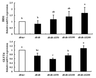 Effect of AS on gene expression levels of genes associated with glucose metabolism-regulating enzymes: insulin receptor substrate 1 (IRS-1), glucose transporter type 4 (GLUT4) in muscle.