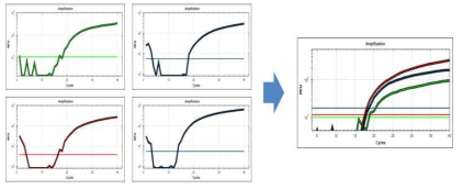 qPCR multiplex 분석법 확립 예시