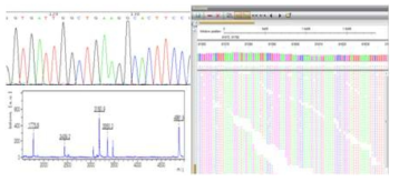 Direct sequencing, RFMP 및 NGS 사용 예시