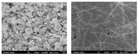 AgNW 및 Ag 플레이크 SEM 사진