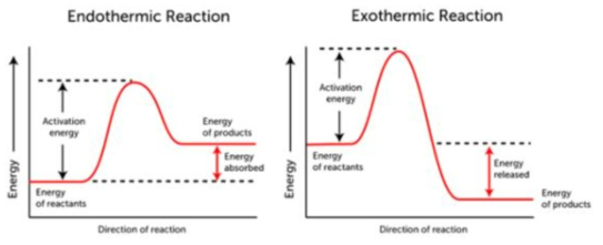흡열/발열의 에너지 곡선