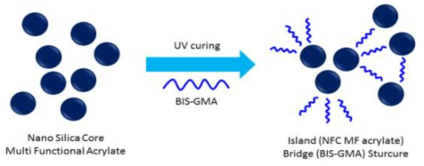 단량체와 실리카 아크릴레이트 Bridge-island 구조