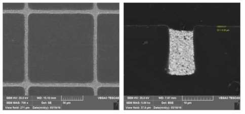 도전성 페이스트 충진 임프린트 패턴 SEM 사진