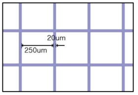 Mesh modeling : Opening size 250 ㎛ and wire width 20 ㎛