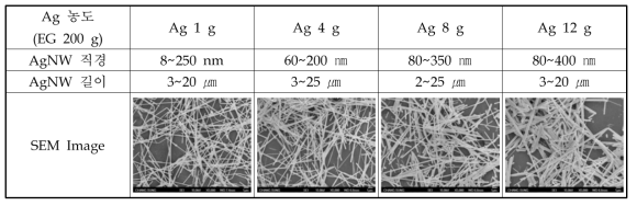 Ag 농도에 따른 Ag 입자 모양 변화 1
