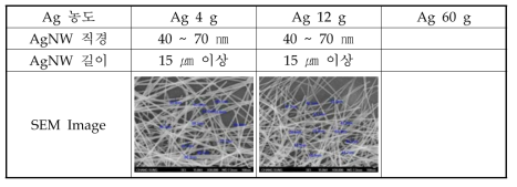 Ag 농도에 따른 Ag 입자 모양 변화 2