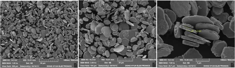 Ag coated Cu flake 분말의 SEM 이미지