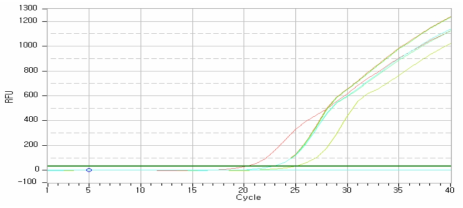 Real-time PCR을 이용한 275.0 PFU/uL 그래프