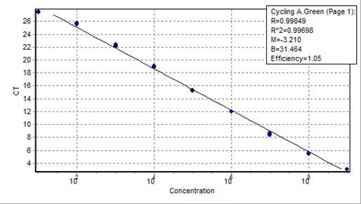 pGL2 벡터의 PCR 증폭곡선을 이용한 standard curve 그래프