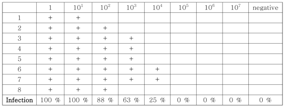 TCID50을 이용한 인플루엔자 바이러스 정량법, CPE 관찰 결과