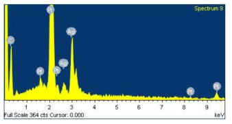 Pt@Ag NPs-MWNT 시료에 대한 EDX 스펙트럼