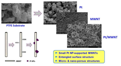 MWNT 에 담지한 Pt Nano particle SEM 분석