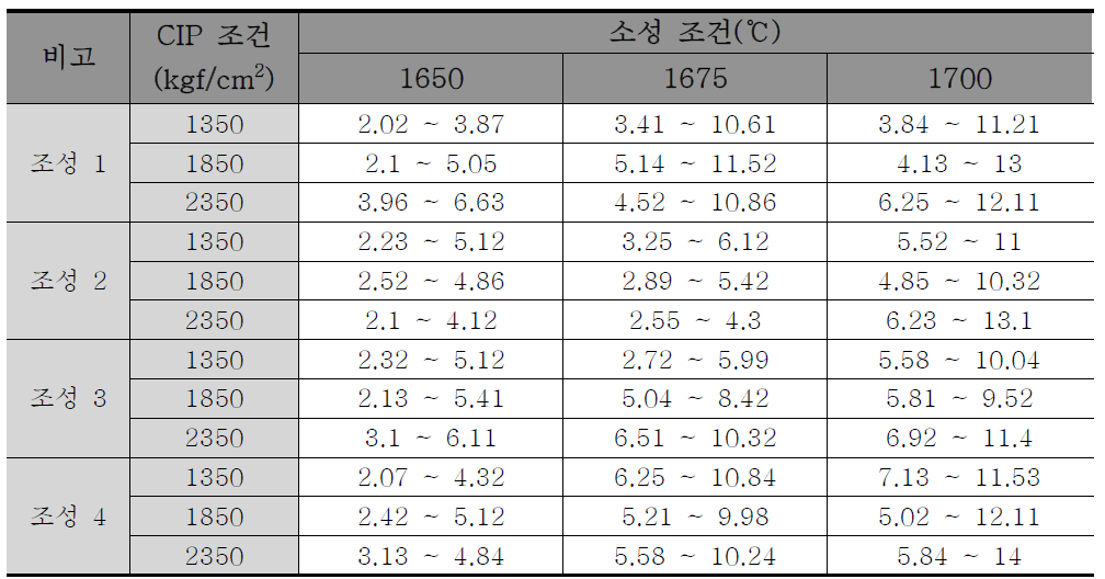 SEM/EDS 분석 결과 입자 크기