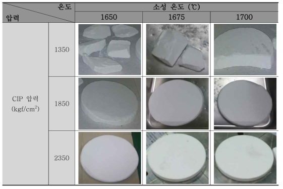 CIP 압력 별 소성 Test 결과