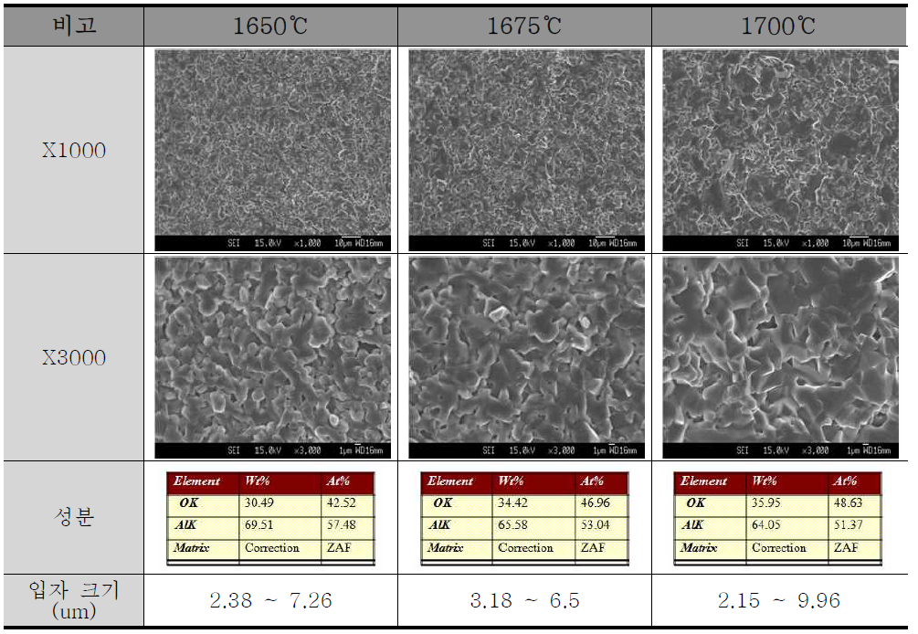 CIP압력 2350 kgf/cm2에서 소성 온도별 1차 미코 파우더 SEM/EDS 결과