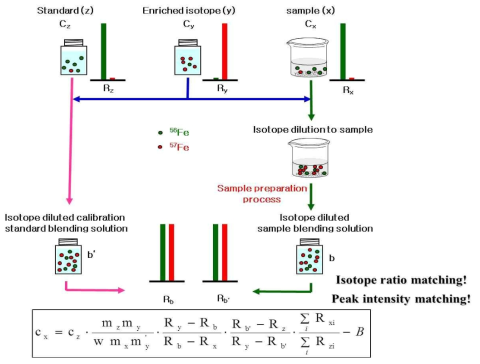 동위원소희석 질량분석법(isotope dilution mass spectrometry)의 개념도 및 모델식