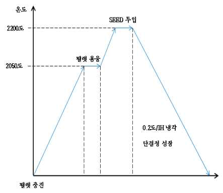 사파이어 그로잉 스케쥴