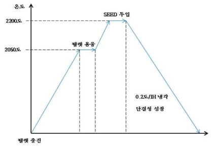 사파이어 그로잉 스케쥴