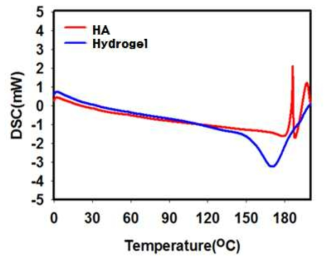 히알루론산 하이드로젤의 열적 안정성 분석 데이터(DSC)