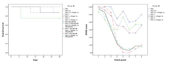 시험물질의 정맥투여에 따른 급성 이식편대숙주질환(Acute GvHD) mouse model의 생존율 및 증상 개선효과 확인