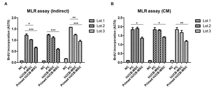 제대혈유래 중간엽줄기세포와 면역특성화 중간엽줄기세포의 indirect, conditioned media에 대한 혼합림프구 반응시험 결과(MLR assay)