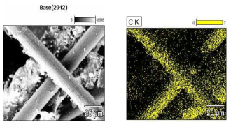 탄화층의 SEM 및 carbon EDS image