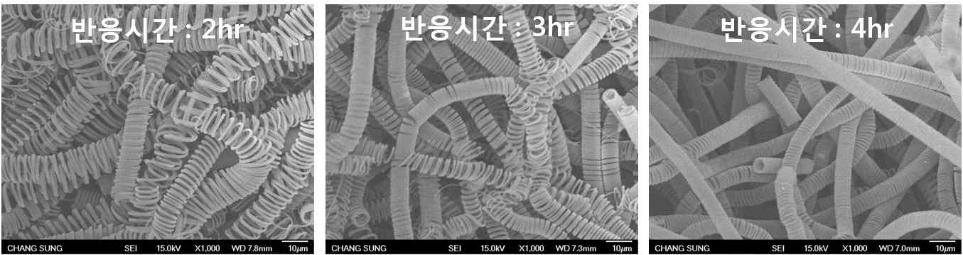 반응 시간에 따른 CMC의 전자 현미경 사진