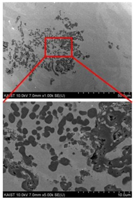 In-situ Reactive Casting으로 제조된 In-situ TiC/STD-11 금속복합재료의 미세조직