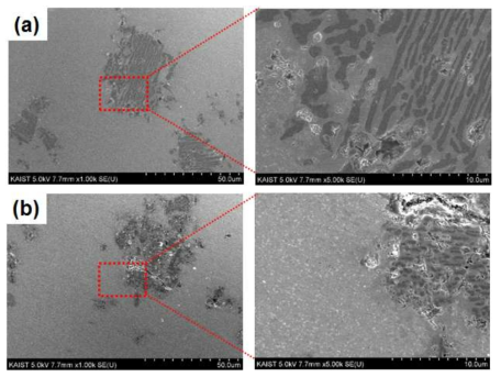 5 vol.% In-situ TiC/RESISTAR (a) 중심부 및 (b) 외각부 미세조직