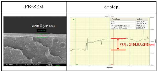 단면분석과 단차 측정결과