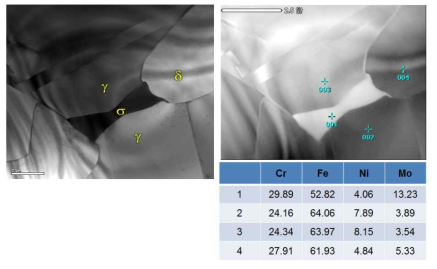 중국 슈퍼듀플렉스 강관 1000℃ 열처리 후 TEM 분석