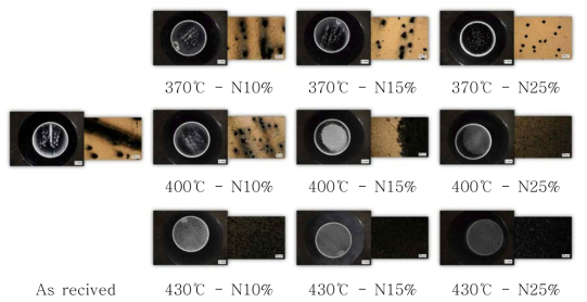 Macroscopic view after Potentiodynamic Polarization Test with variation of N2 Content