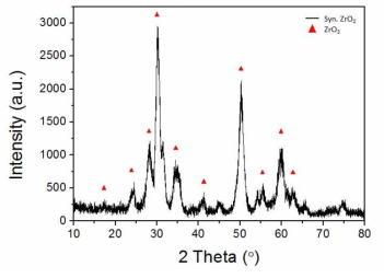 합성된 지르코니아 분말의 XRD pattern.