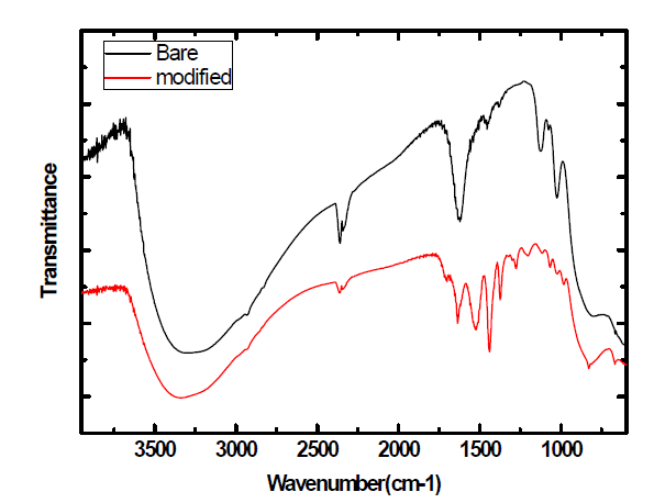 표면개질 유무에 따른 FTIR peak 변화