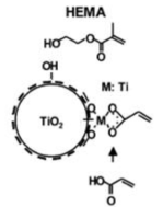 Acrylic acid 표면개질 된 TiO2 + HEMA의 모식도.