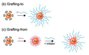 나노입자의 표면 개질 방법 (Grafting-to, Grafting-from).