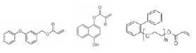 Aromatic Moiety를 가지는 단분자 1관능 모노머