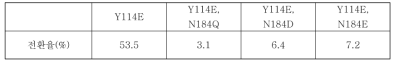 Y114E 효소의 N184 위치에 추가 돌연변이를 유발시킨 효소의 전환율